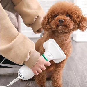 2-in-1 Dog Grooming Dryer mysite