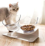 Anti-vomiting orthopaedic cat bowl Aleck