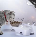 Anti-vomiting orthopaedic cat bowl Aleck