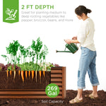 Outdoor Metal Raised Garden Bed for Vegetables, Flowers, Herbs - 6x3x2ft