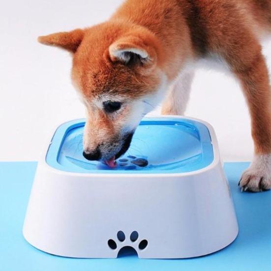 Anti-Spill Pet Water Bowl Aleck