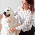 2-in-1 Dog Grooming Dryer mysite